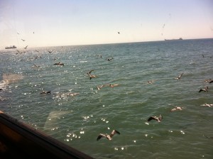 vista desde el Restaurant en Viña del Mar